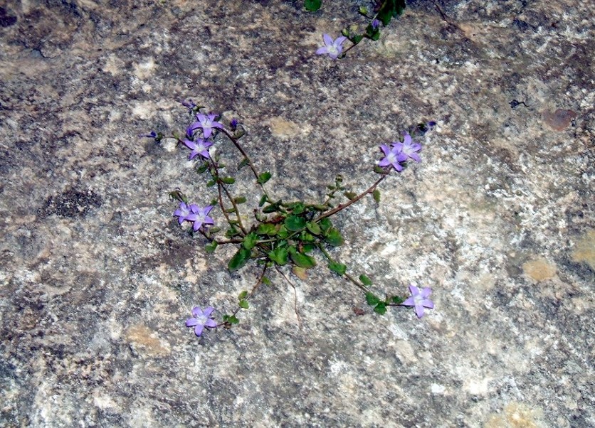 I colori del Gargano